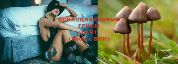 кокаин премиум Заводоуковск