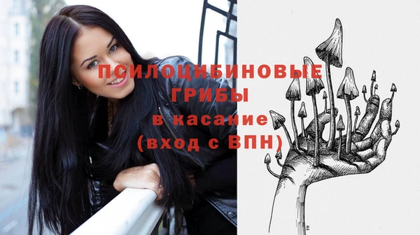 кокаин премиум Заводоуковск