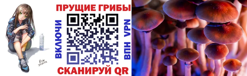 Галлюциногенные грибы ЛСД  Купить  Видное 