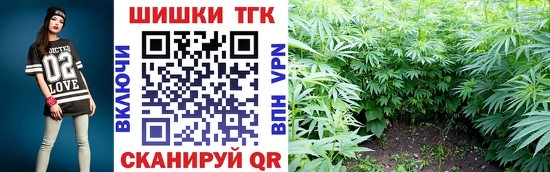 Каннабис SATIVA & INDICA  Купить закладки  Видное 